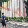 selcon_zhang